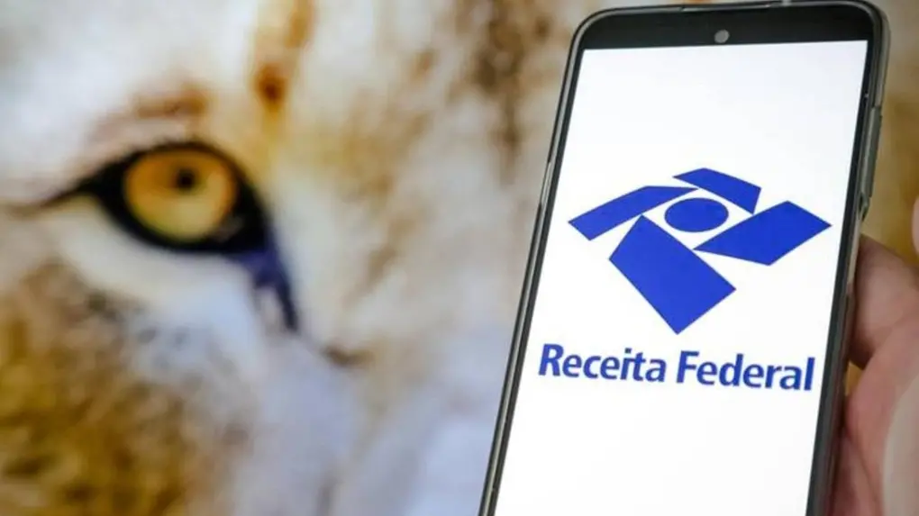 7 Dicas para Fazer um Estudo de Mercado B2B com Dados da Receita Federal