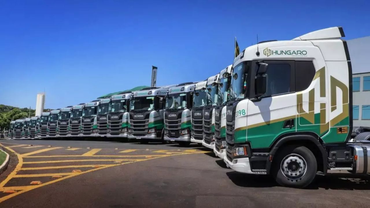 Transportadoras de Cargas no Brasil